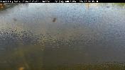 camera snapshot for I-474 EB at Shade Lohmann Bridge River (#4076)